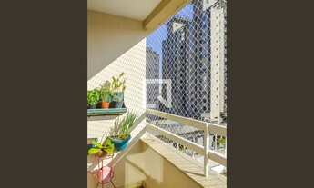 Imagem 6: Apartamento para Aluguel - Nova Petrópolis, 3 Quartos, 63 m2