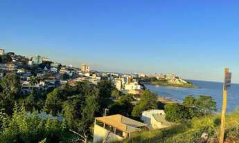 Imagem: Lote piuma-iriri