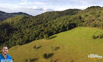 Imagem 7: 19 Hectares área rural - Andradas - Minas Gerais