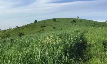 Imagem 5: Venda-se está propriedade de 45 Alqueires no Município de Rio Novo do Sul/