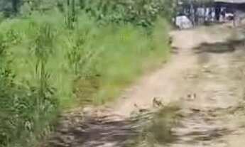 Imagem 2: Excelente Rancho na Serra da Mesa