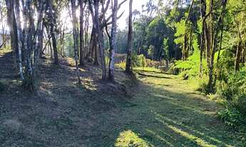 Imagem 7: Terreno Urbano para Venda em Quatro Barras, Centro