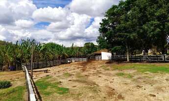 Imagem 11: FAZENDA RURAL em Nova Serrana - MG, Nova Serrana
