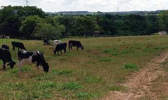 Imagem 2: Chácara em Guapó