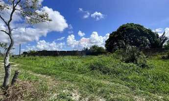 Imagem: OPORTUNIDADE - Área 1.000 m² - Chácara