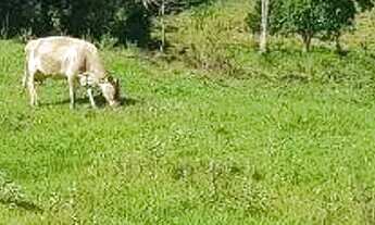 Imagem 12: Chácara à venda em Boa Vista da Aparecida