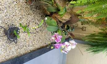 Imagem 6: Kitnet com pouca burocracia