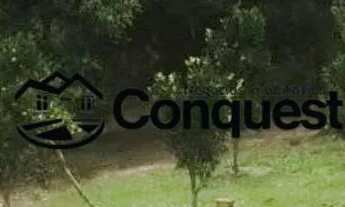 Imagem 2: Fazendinha 15 Hectares - Caetano José - Bonfim - MG