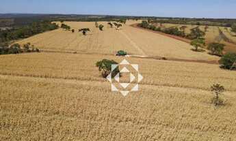 Imagem 2: Fazenda localizada em uma das regiões com maior altitude do estado-Área total: 1.190 Hecta