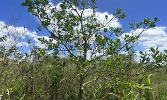 Imagem: Tarefas de terra