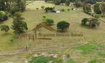 Imagem 7: Sítio à venda com 2 alqueires em Porangaba-SP