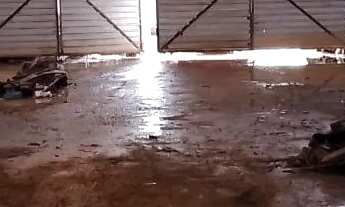 Imagem 6: 03 Galpões com aprox 275m2 cada na entrada do Capelão, CIA/CEASA