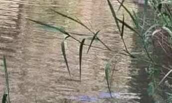 Imagem 5: SÍTIO 12,3 HC EM CAETÉ MG