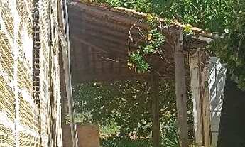 Imagem 4: Chácara com 3 mil metros, no município de Curvelo nas proximidades da cachoeira do choro