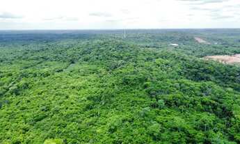 Imagem 6: Grande área de Terreno a venda em Teresina, na margem da Br-343 com 38 hectares