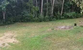 Imagem 7: Terreno de 7804.85m² no bairro Saco Grande