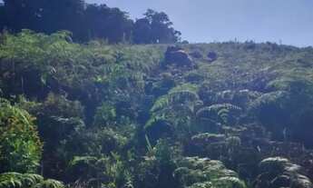 Imagem 5: Terreno à venda- ESTRADA CUNHA X PARATY - Cunha/SP