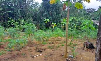 Imagem 6: Terreno Terreno / lote com venda por R$9.100