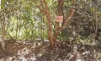 Imagem 2: LINDO LOTE EM ÁREA NOBRE