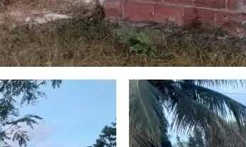 Imagem 2: Casa Casa com 2 dormitórios