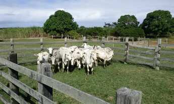 Imagem: Refúgio em Barra do Furado Sítio para