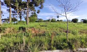 Imagem 3: ÓTIMO TERRENO EM LOTEAMENTO EM SÃO VALENTIN