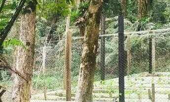 Imagem 2: Chácara à venda, 4731 m² por R$ 480.000,00 - Borda Do Campo - São José dos Pinhais/PR