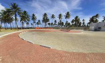 Imagem 7: LOTE POSIÇÃO OESTE - RAINHA DOS LOTES