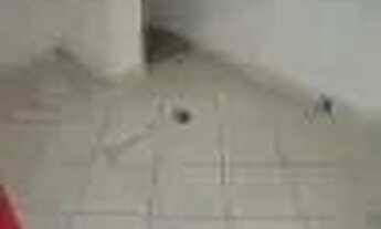 Imagem 2: Imóvel para aluguel com 30 metros quadrados em Ipiranga - São Paulo - SP