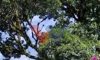 Imagem 2: Chácara com 3 dormitórios à venda,5000.00 m , Recreio da Serra, PIRAQUARA - PR