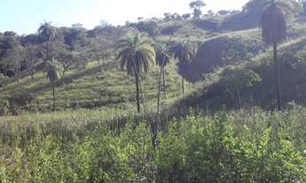 Imagem: Lindas fazendinhas de 20 mil metros,a 45