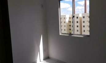 Imagem 3: Alugo apartamento centro de Paulista