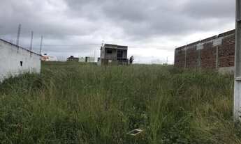 Imagem 2: Terreno Loteamento Santa Fé. Limoeiro PE