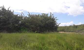 Imagem 2: 4 Terrenos na Praia do Araça (Salinas da Margarida