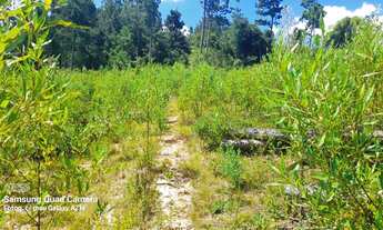 Imagem 2: Chácara em Glorinha RS, com vertentes e Escriturada!