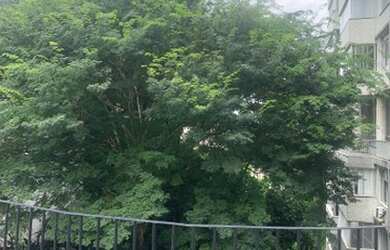 Imagem 4: Apartamento para venda com 160 metros quadrados com 3 quartos em Graça - Salvador - BA