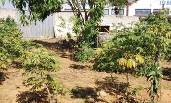 Imagem 5: Hortolândia - Terreno Padrao - Chácaras Fazenda Coelho