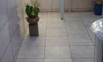 Imagem 4: VENDO CASA IMOBILIADA EM SALINAS CIDREIRA