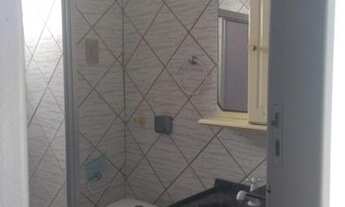 Imagem 6: Bosque dos eucaliptos