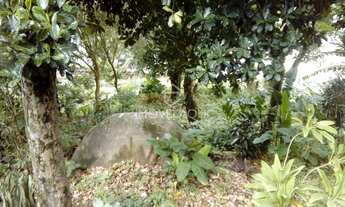 Imagem 6: Rio de Janeiro - Chácara - Vargem Pequena