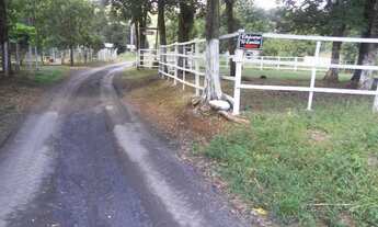 Imagem 5: Chácara em Palmeira (boa vista