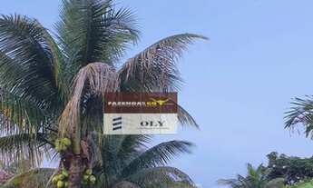 Imagem 2: Fazenda/Sítio/Chácara para venda tem 2200 metros quadrados