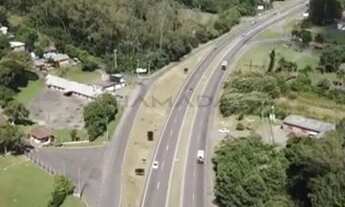 Imagem 5: Linda Área, as Margens da Rodovia RS 239. Ref.:3837