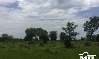 Imagem 6: Fazenda Margem do Rio Araguaia-PA. > 26 Alq. (126 Há