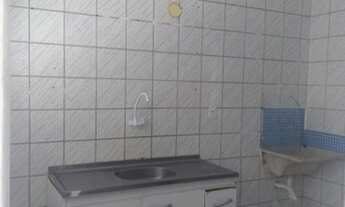 Imagem 7: Bosque dos eucaliptos