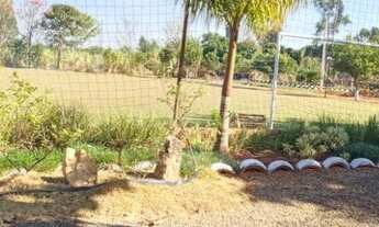 Imagem 2: Chácra em Brazlândia - DF no Incra 07