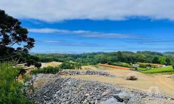 Imagem 4: CAXIAS DO SUL - Terreno Padrão - Desvio Rizzo
