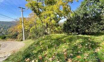 Imagem 7: CAXIAS DO SUL - Terreno Padrão - LINHA 40