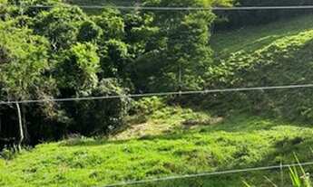 Imagem 6: Vendo Sítio de 13 alqueires