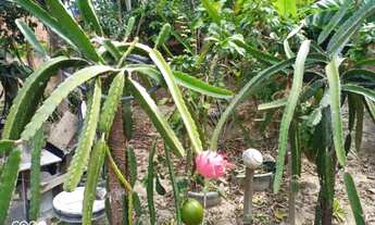 Imagem 6: Casa Mobiliada 80 mil